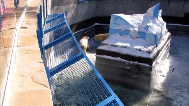 Кай и Герда играют в догонялки 29.03.18 смотреть онлайн