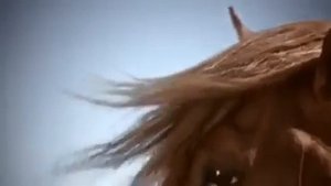 Рыжая лошадь   самая красивая