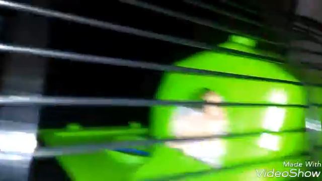 Roum Tour ///по обновленой клетке хомяка смотреть онлайн