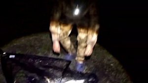 Рыбалка на толстолобика. Отдых на природе.