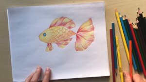 Как нарисовать золотую рыбку цветными карандашами. Рисуем вместе с Наталкой Барвинок #урок_рисовани