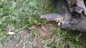 Тойота карина ат170 5а-ф работа двс