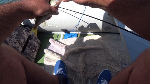 РЫБАЛКА ВО ФРАНЦИИ! Летняя рыбалка на окуня! смотреть онлайн