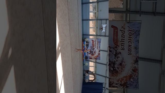 Выступление по художественной гимнастике по программе 2 юн разряда смотреть онлайн