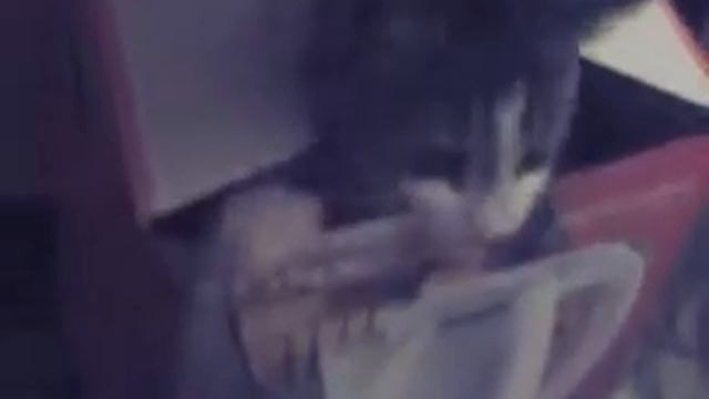 Кот защищает свою коробку как может!