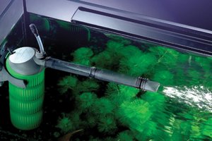 Аквариумные помпы Обзор китайской водяной помпы и помпы фирмы Aquael Aquarium