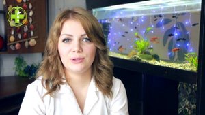 Птенец Выпал из Гнезда ? Как Спасти // Правила Спасения Птенцов // Сеть Ветклиник БИО-ВЕТ