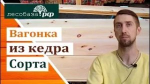 Вагонка из кедра популярные сорта