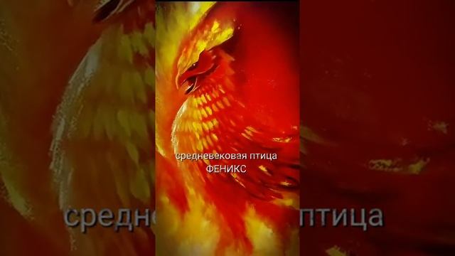 Славянская мифология #мифология #славяне #язычество #жарптица #феникс #озвучка #мифы.mp4