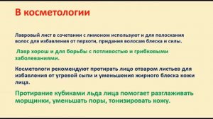 Лавровый лист поможет для снижения сахара, при простуде и похудении #12