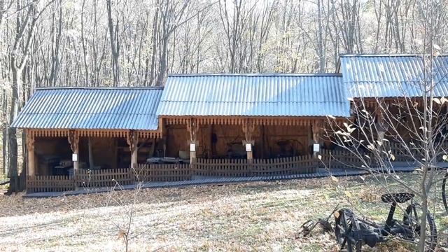 Пешком по Хвалынскому национальному парку. ч.10 Пешком по России. смотреть онлайн