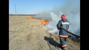 Пал травы и сжигание мусора - под запретом!