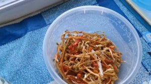 Проверяю дегидратор (сушилку) Oursson в действии