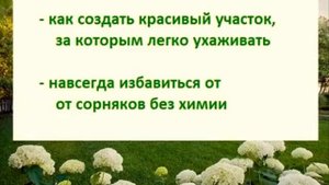 Ландшафтный дизайн своими руками. Курс.