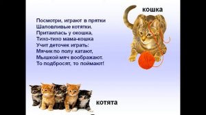 домашние животные и их детёныши презентация