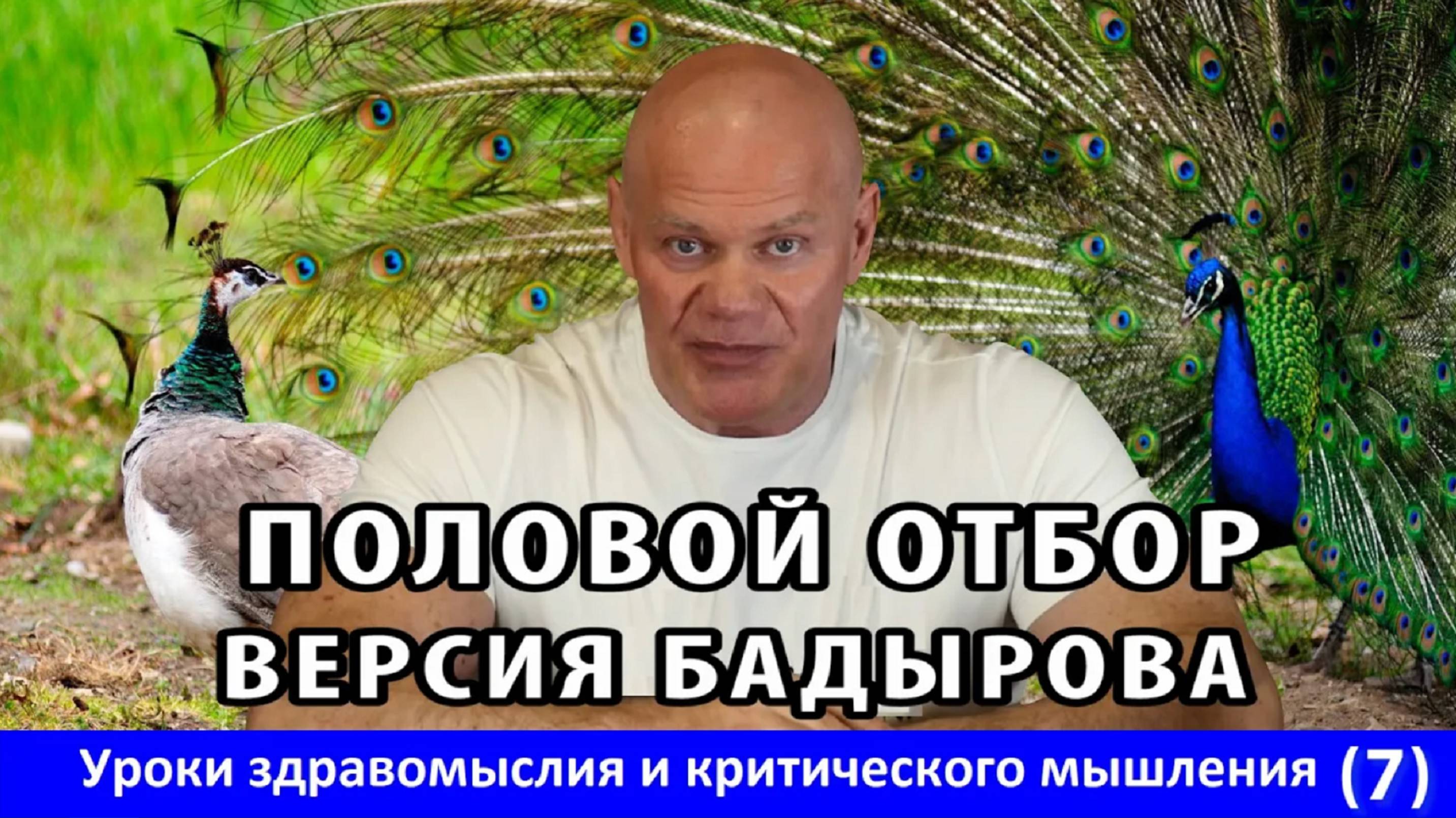 Половой отбор. Версия Бадырова. Уроки здравомыслия и критического мышления. Часть 7.