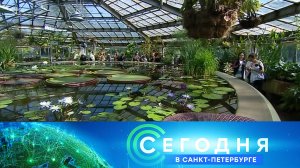 «Сегодня в Санкт-Петербурге»: 30 мая 2023 года