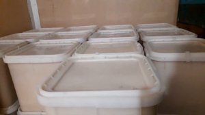 Алтайский мед с пасеки.горное разнотравье.