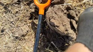 День серебра с Nokta makro simplex+