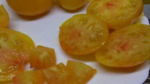 Томаты - новинки 2022 года. Томат Казахстанский желтый - яркий, красивый, вкусный! Дегустация.