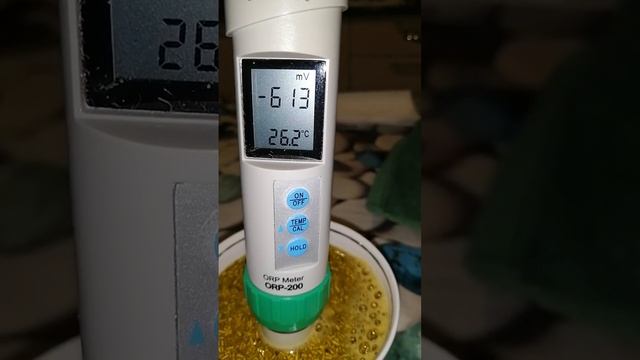 Куркума (корень молотый) + Розмарин (сушёный). смотреть онлайн