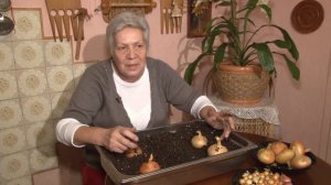 Голова садовая - ВАЖНАЯ ИНФОРМАЦИЯ! Уход за луком на грядке Часть 3