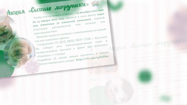 Маркетинговая стратегия акции "Сытые мордашки" СП ДОД "ДЮЦ "Открытие"" ГБОУ СОШ с. Красный Яр смотреть онлайн