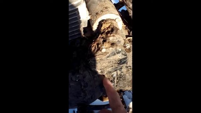 поездка в губскую . смотреть онлайн