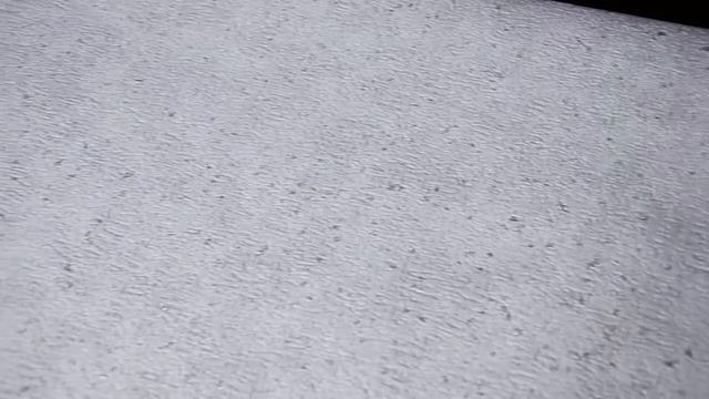 Флоренция фон 12 Белорусские обои Виниловые вспененные на флизелиновой основе, 1.06 м смотреть онлайн