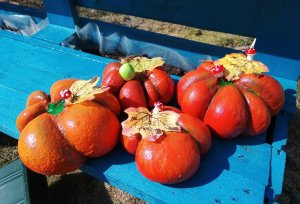 Делаем садовую фигурку тыквы из цемента.