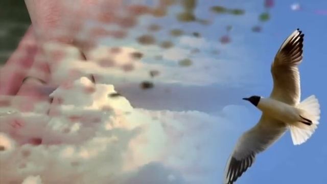 "ПРИЛЕТАЙ" Виктор Королёв смотреть онлайн