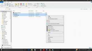 how to run  Dangerous dave in windows 10