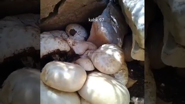 6 апреля 2020 г. смотреть онлайн