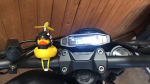 Продаётся Fuego Scrambler 300