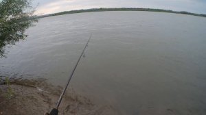 КАК ПОЙМАТЬ ЖЕРЕХА НА СПИННИНГ (РЫБАЛКА В РЕНИ) ЛОВЛЯ ЖЕРЕХА НА ДУНАЕ. ЛОВЛЯ ЖЕРЕХА НА КАСМАСТЕР.