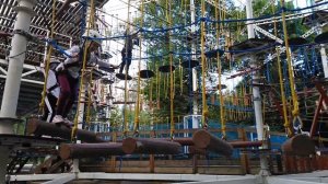 Панда парк | Куда сходить с ребенком в Москве