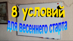 8 важных условий необходимых для хорошего весеннего старта пчелиной семьи