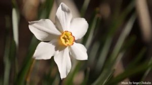 Слушайте эту музыку и вам станет лучше.