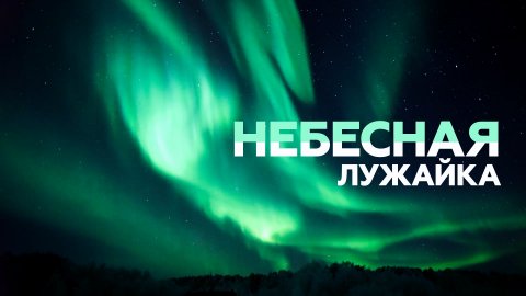 Северное сияние окрасило небо в Мурманской области — видео