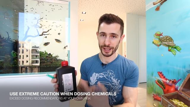 How to GET RID OF STAGHORN ALGAE смотреть онлайн