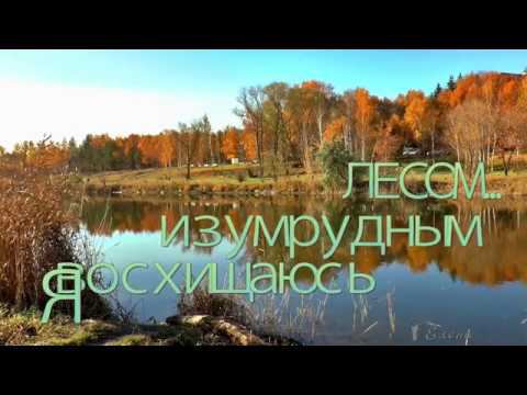 Я восхищаюсь  изумрудным лесом*