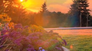 Джанго   Весной пригретая / Ты люби меня просто так