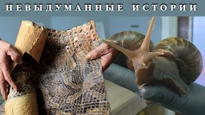 Контрабанда В мире Топ самых Невыдуманные истории о которых вы не знали