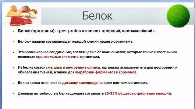 Роль белка в питании человека смотреть онлайн