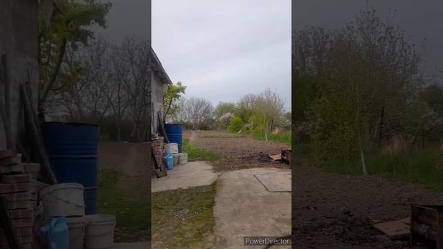тренировка дочки//купили кур//весна во всей красе//(1 год назад)