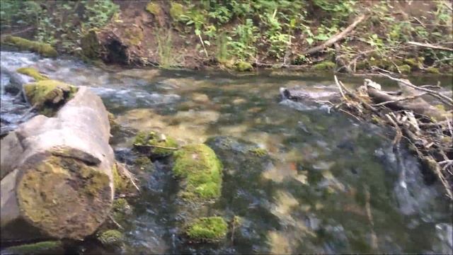 Голубое Озеро / Казань / Татарстан смотреть онлайн