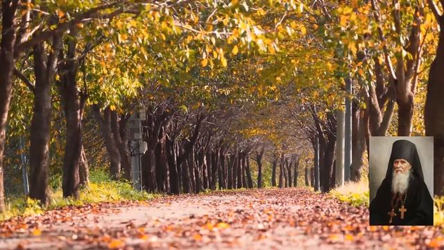 О добродетельной жизни / Поучения преподобного Амвросия Оптинского супругам и родителям смотреть онлайн
