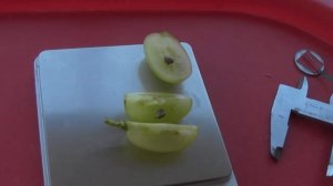 @Виноград 2019  Виноград Синдикат  Дегустация