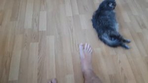 Перелом пятки 8 месяцев и 3 недели.