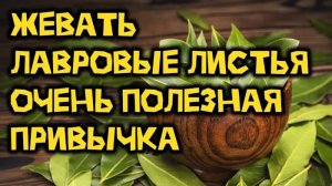 Зачем жевать лавровый лист?